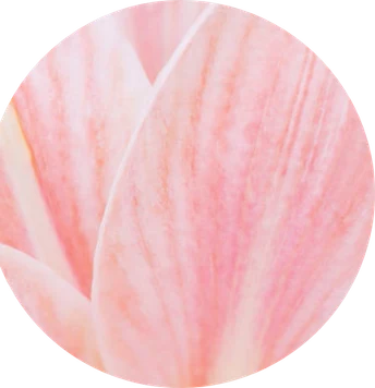 Note florale d’une capsule de parfum Mini-Lab